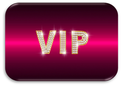 Online Casino VIP Programs